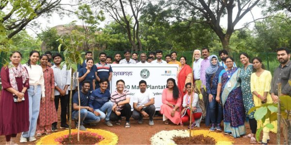 Mass Plantation Project Synopsys Inc