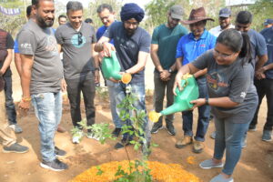 planitation